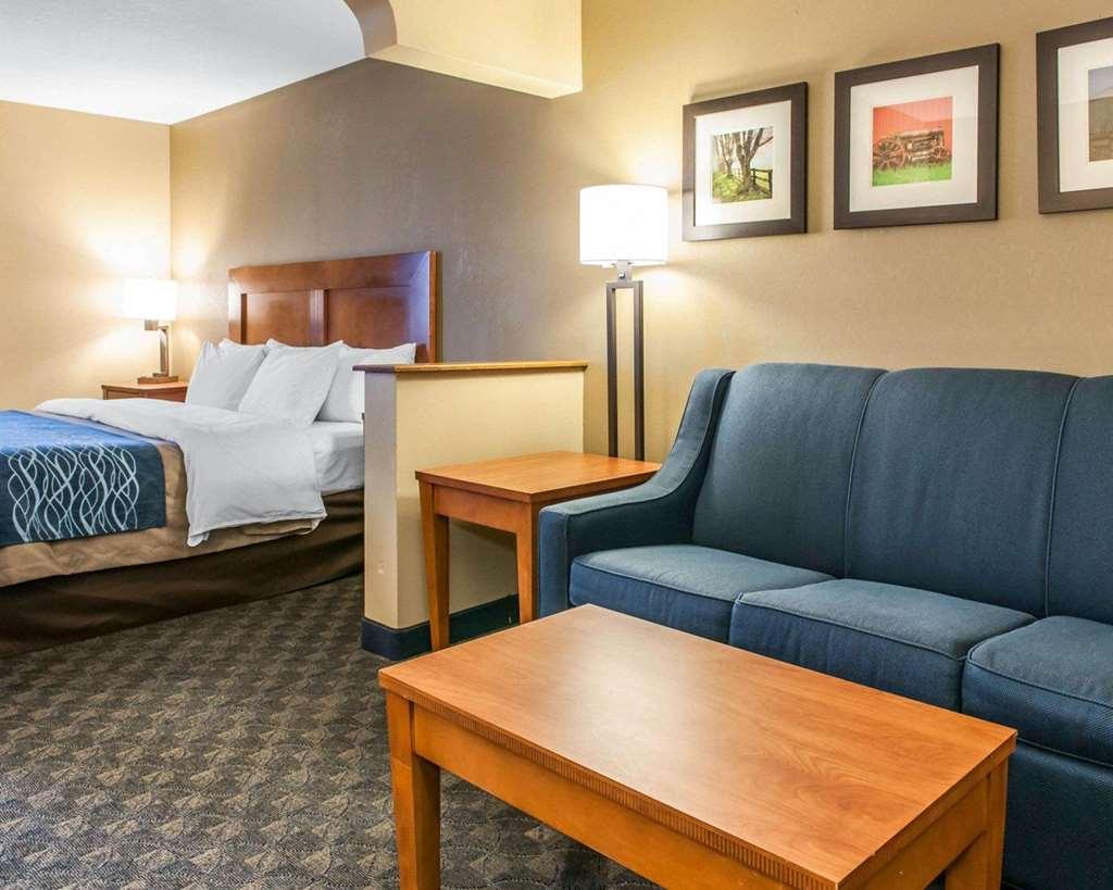 Comfort Inn & Suites Napoleon Oda fotoğraf